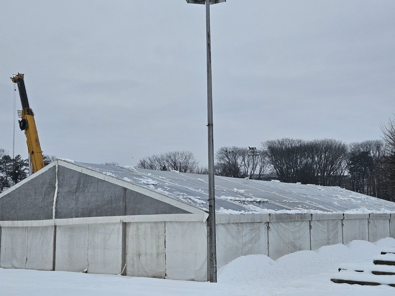 Viber slika 2026 01 09 10 03 26