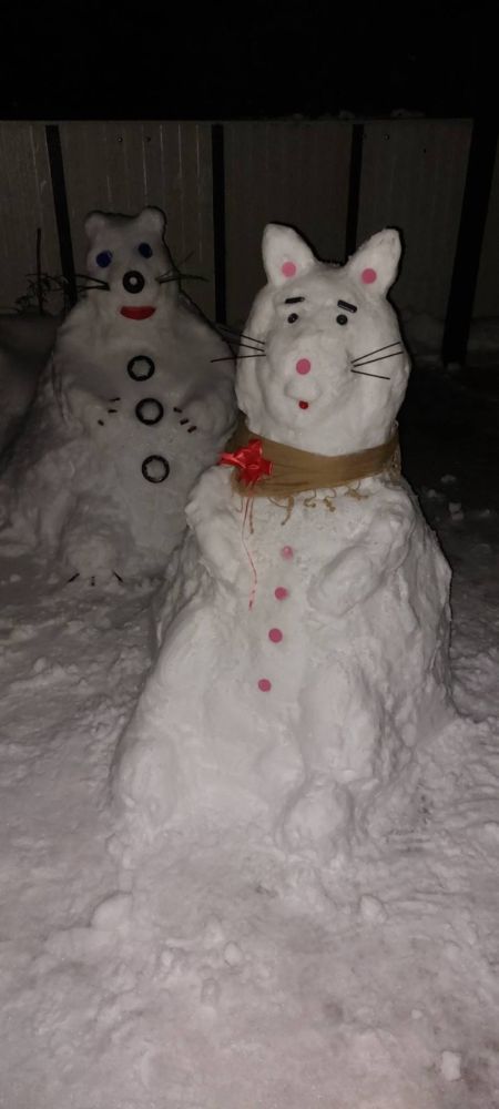 Viber slika 2026 01 10 13 32 55