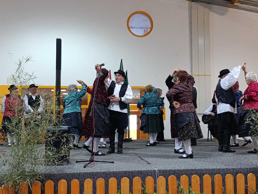 Viber slika 2026 01 16 15 31 26