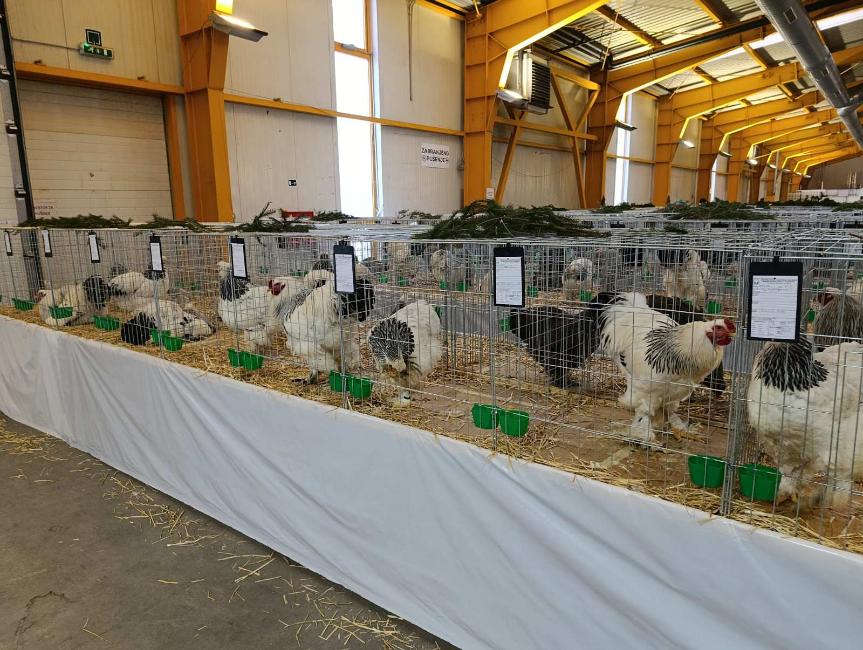 Viber slika 2026 01 16 15 31 57