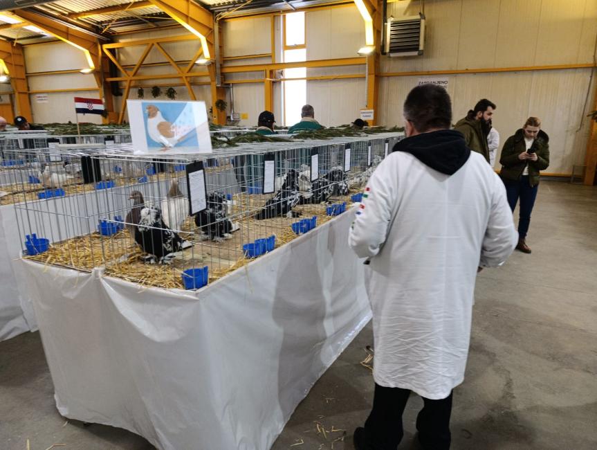 Viber slika 2026 01 16 15 32 10