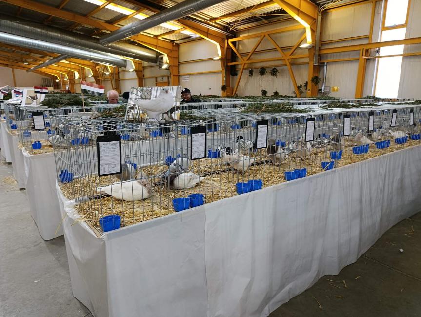 Viber slika 2026 01 16 15 32 23