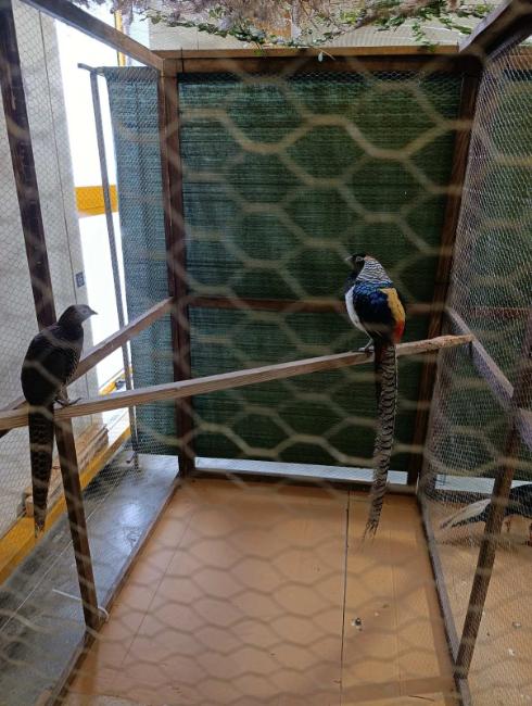 Viber slika 2026 01 16 15 34 51