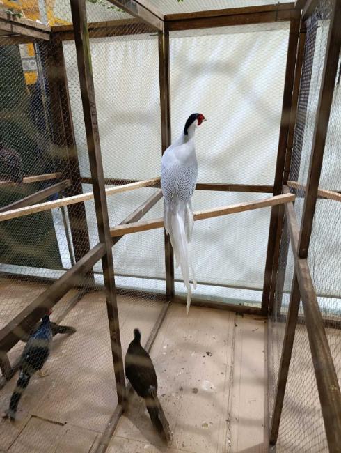 Viber slika 2026 01 16 15 34 51