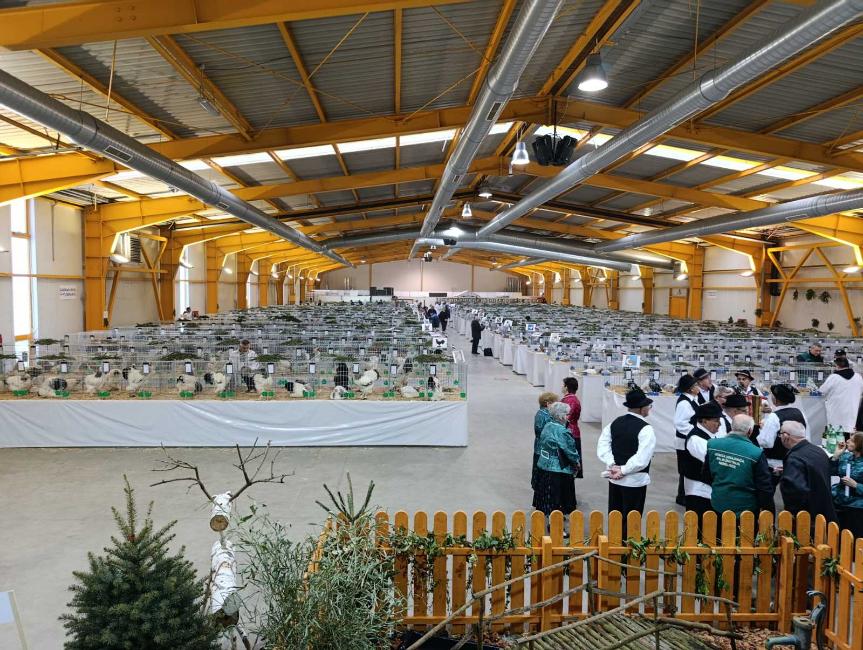 Viber slika 2026 01 16 15 34 51