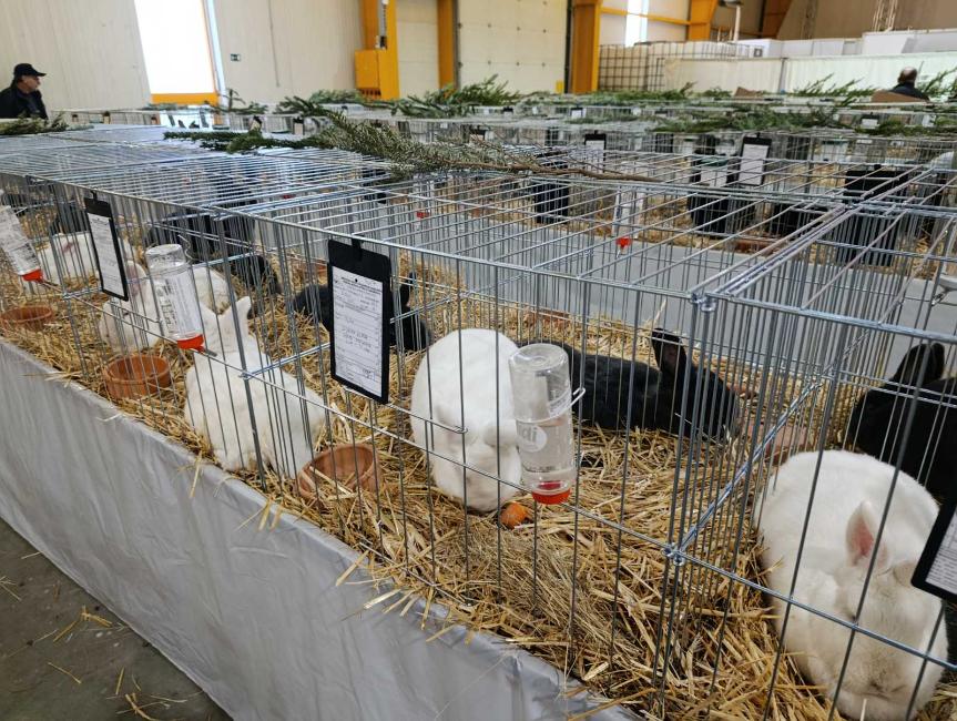 Viber slika 2026 01 16 15 34 51