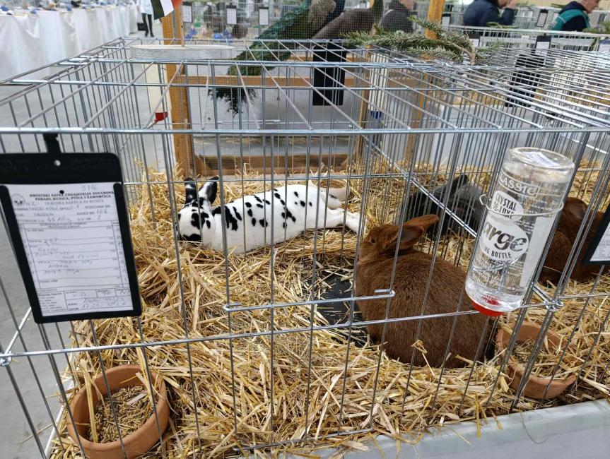 Viber slika 2026 01 16 15 34 51