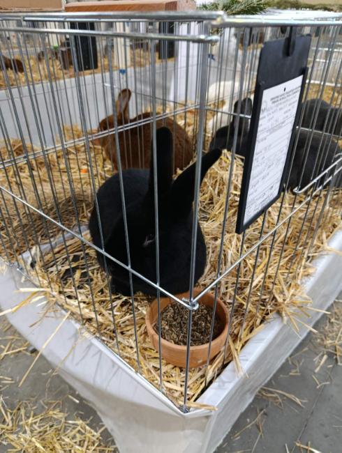 Viber slika 2026 01 16 15 34 51