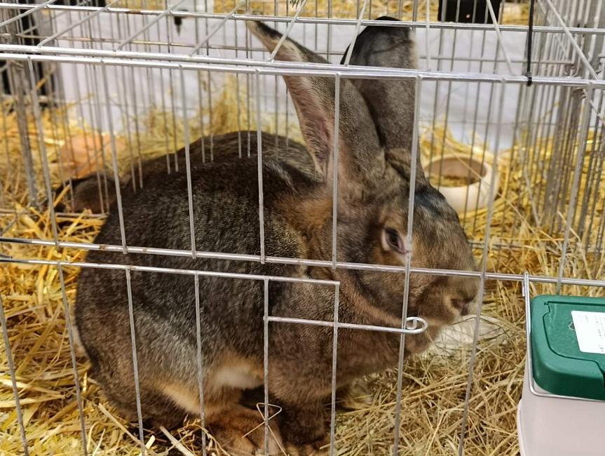 Viber slika 2026 01 16 15 34 52