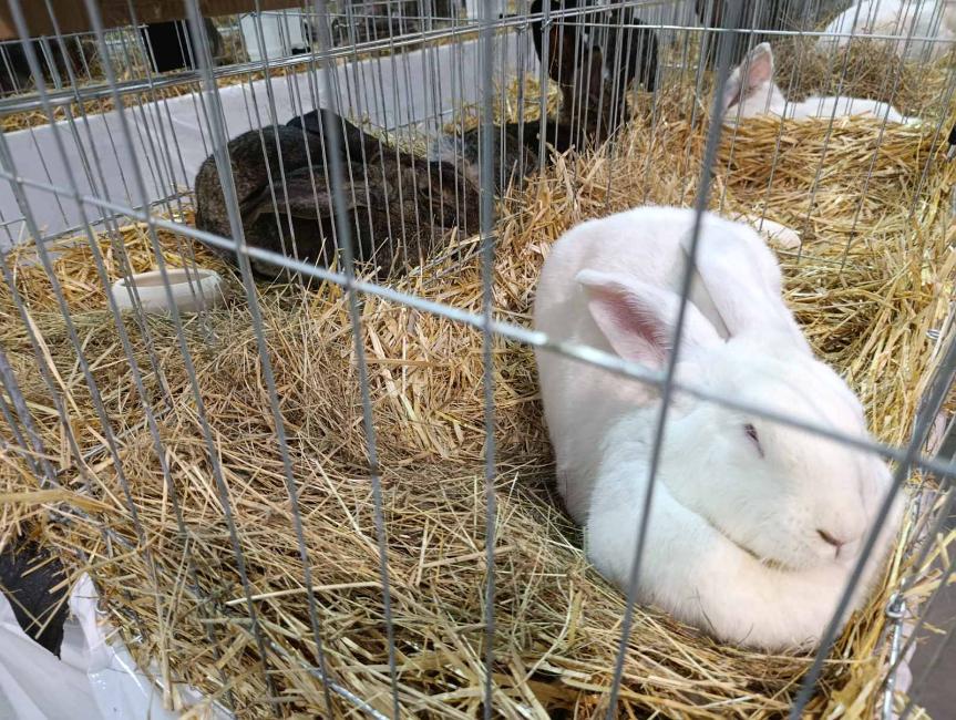 Viber slika 2026 01 16 15 34 52