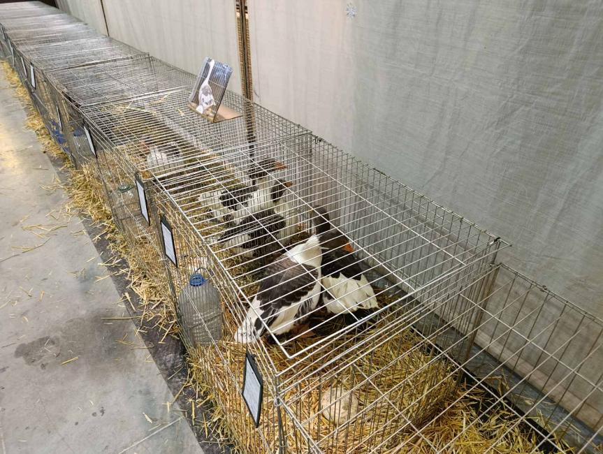 Viber slika 2026 01 16 15 34 52