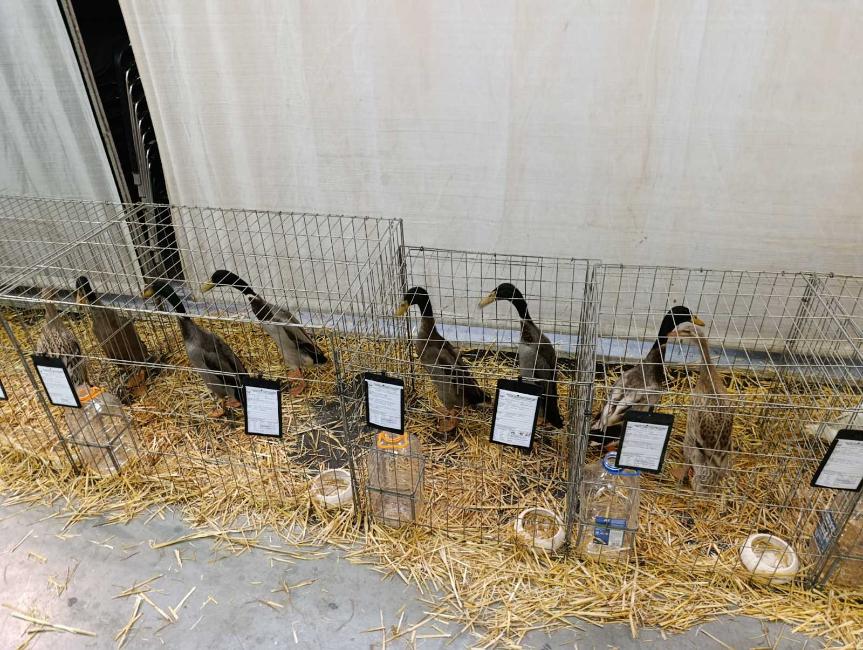 Viber slika 2026 01 16 15 34 52