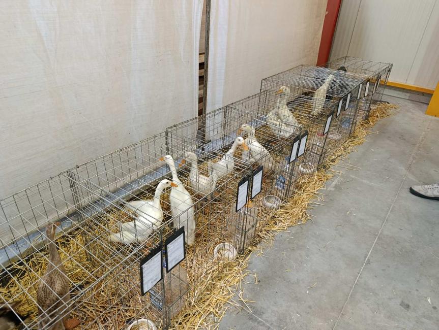 Viber slika 2026 01 16 15 34 52