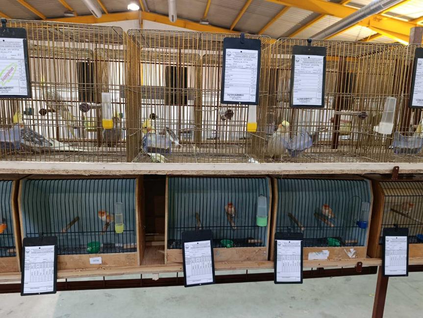 Viber slika 2026 01 16 15 34 52