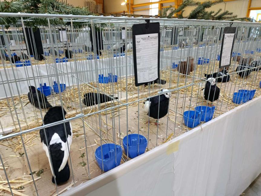 Viber slika 2026 01 16 15 34 52