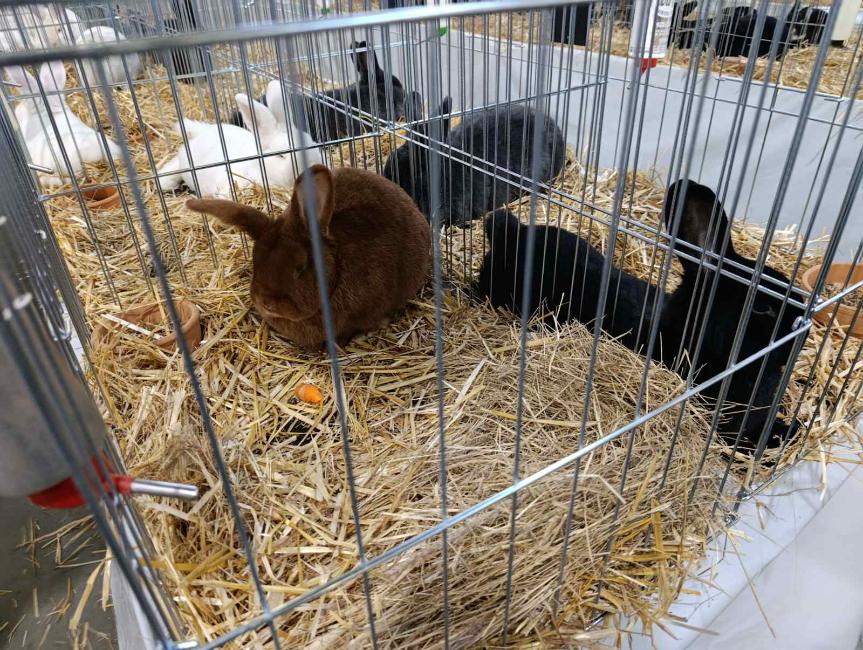 Viber slika 2026 01 16 15 34 52