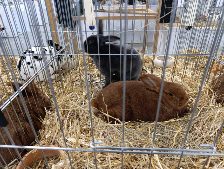 Viber slika 2026 01 16 15 34 52