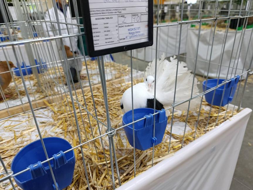 Viber slika 2026 01 16 15 34 52