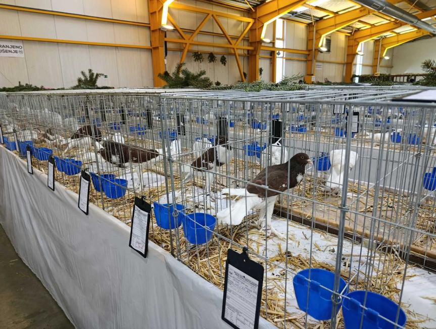 Viber slika 2026 01 16 15 34 52