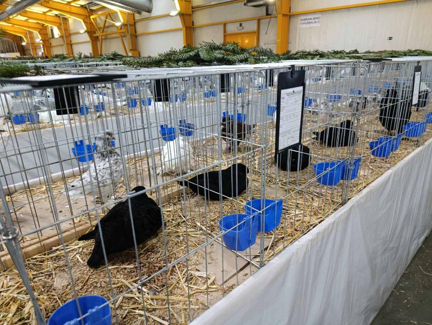 Viber slika 2026 01 16 15 34 53