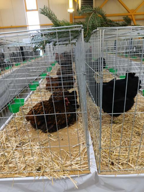 Viber slika 2026 01 16 15 34 53