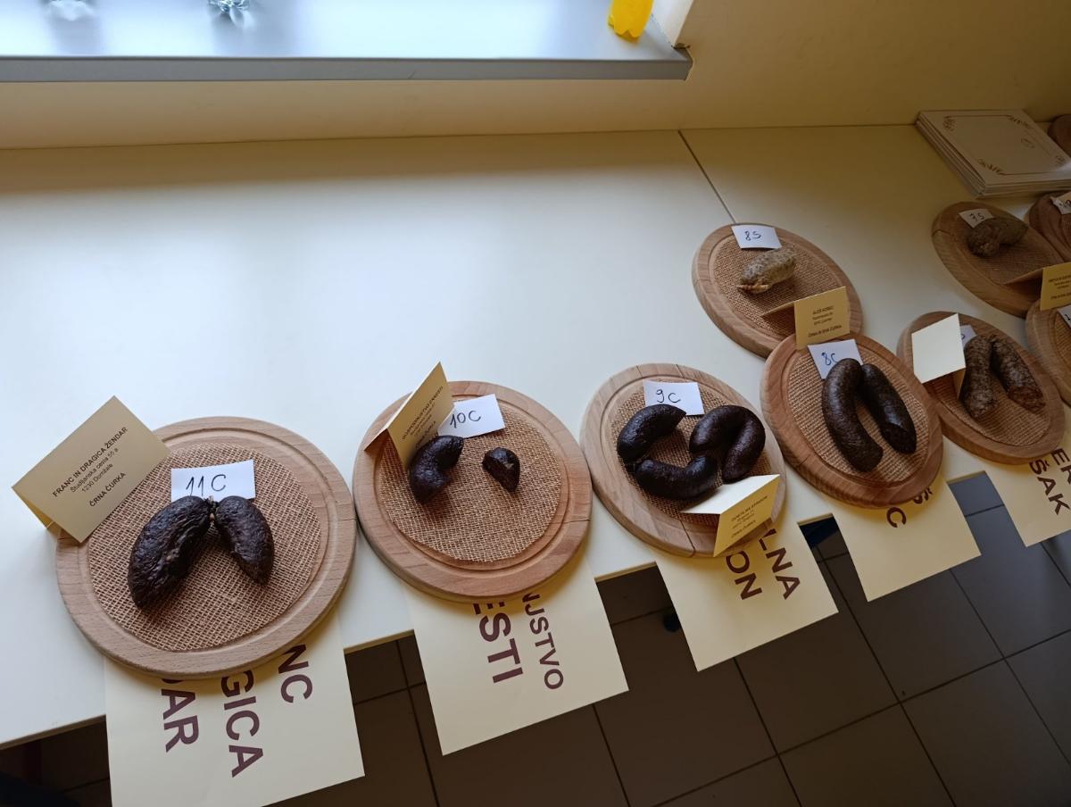 Viber slika 2026 01 17 16 02 21