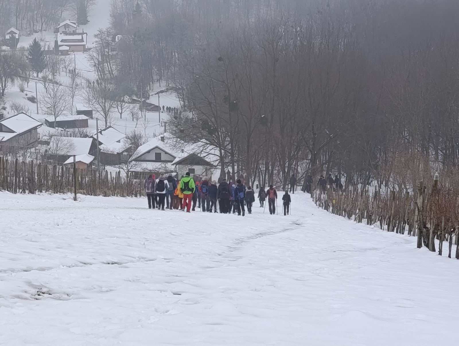 Viber slika 2026 01 18 13 40 46