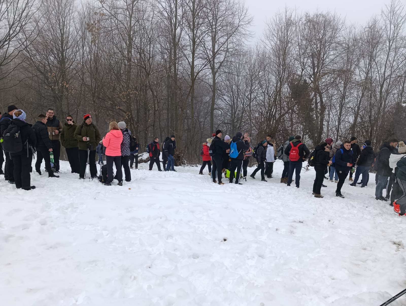 Viber slika 2026 01 18 13 41 19