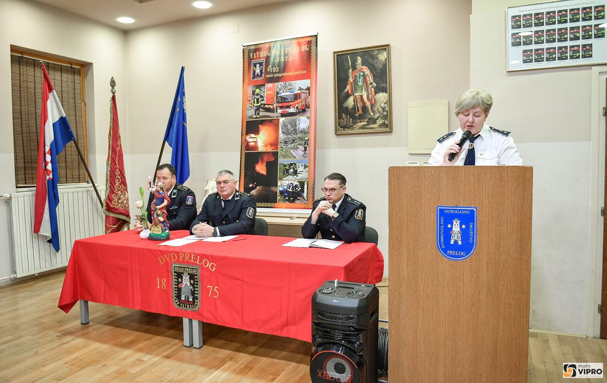 10010 73589 vipro041