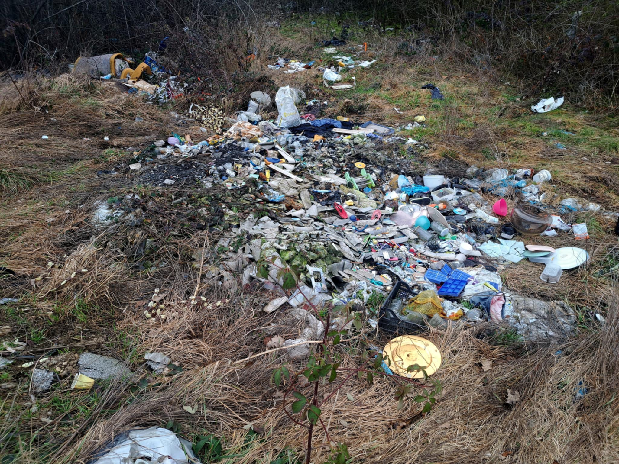 233baeca f13b 4194 b90d f06a61752057