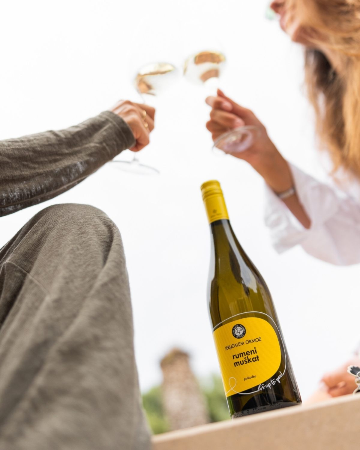 486461162 954884196852517 7973370704015812050 n