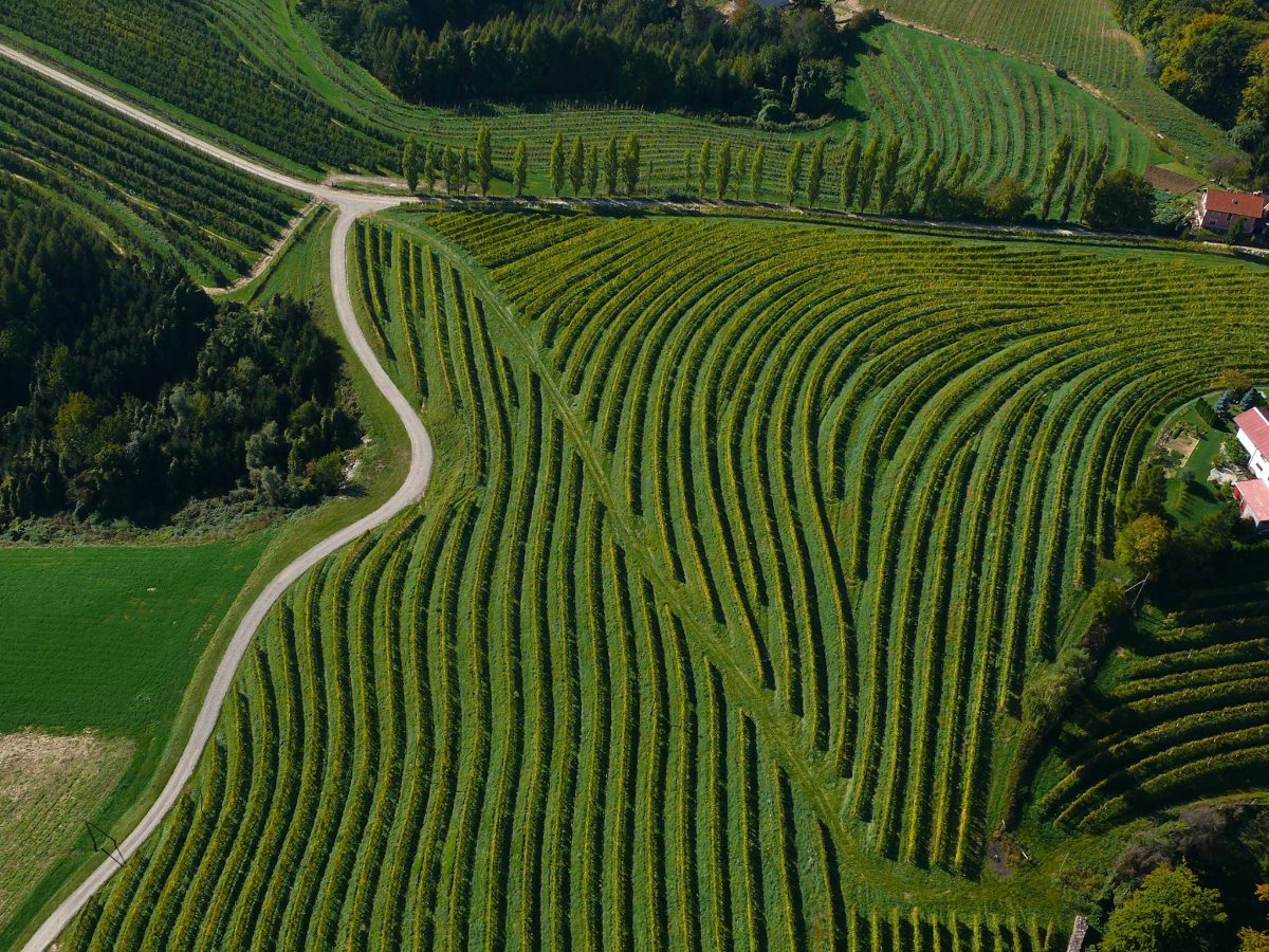 495213137 8460578004067376 5884433770301774247 n