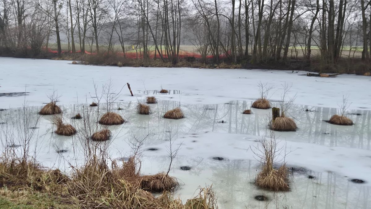 626791322 1926310264867778 6639656672477021866 n