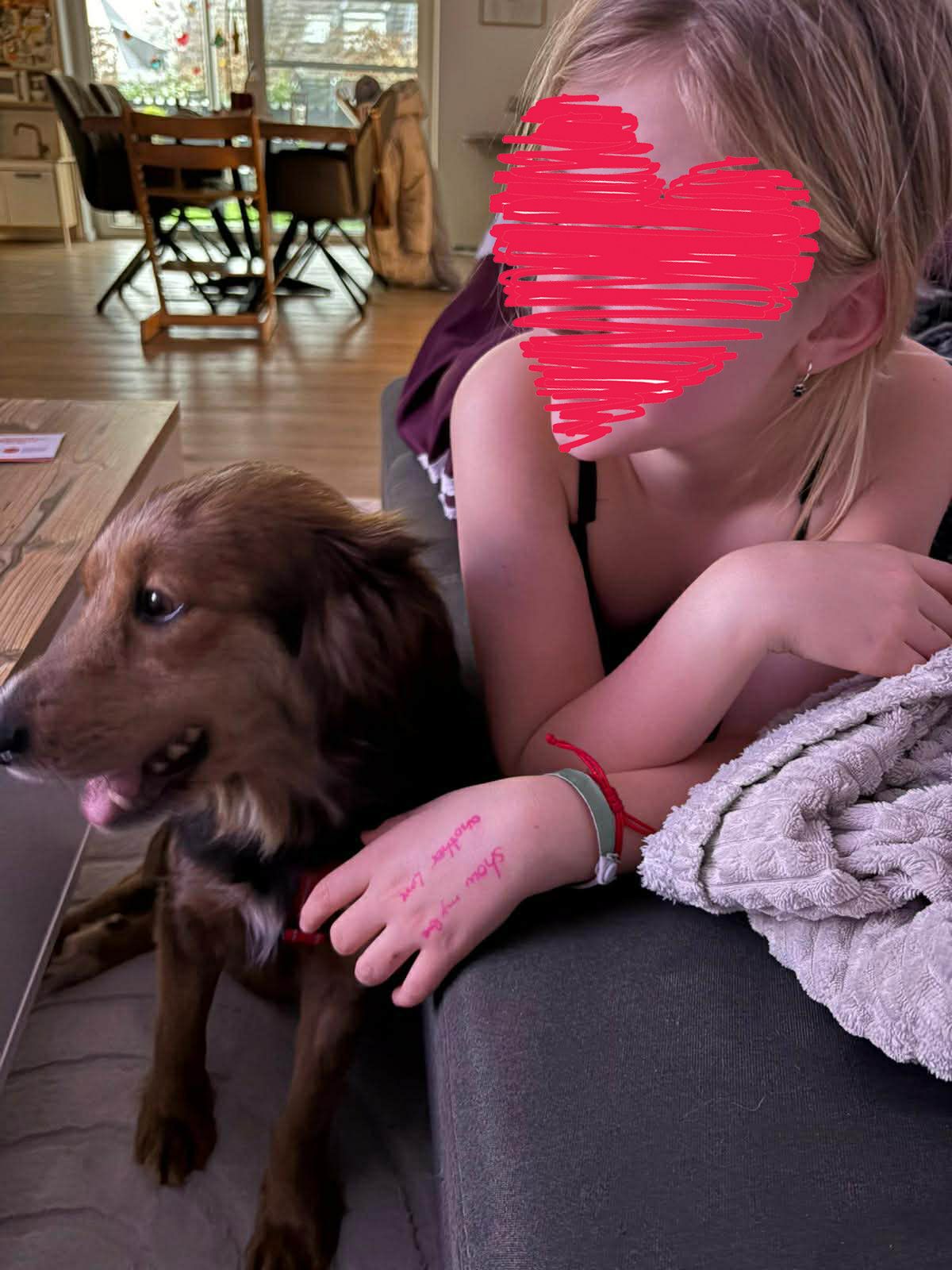 627154631 1195613042743944 1772699696470968263 n