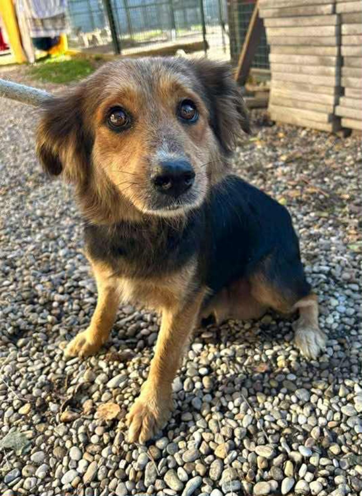 628158444 1195612112744037 5232830201097470113 n