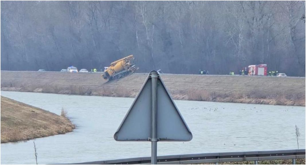 BeFunky collage 2026 02 03T143018.751