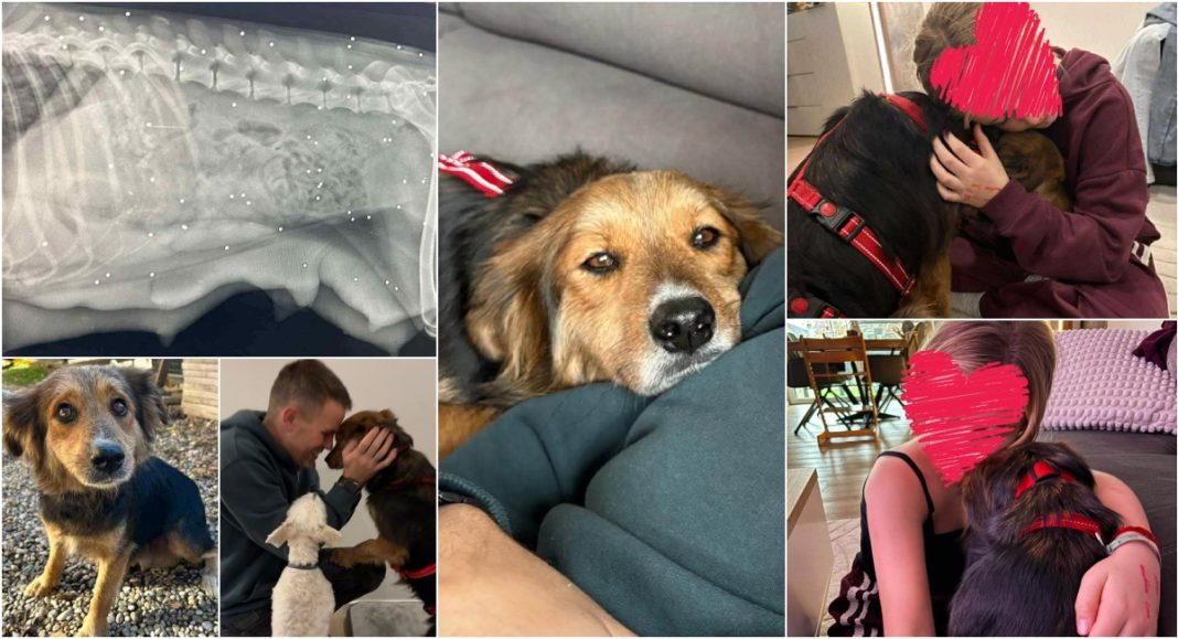 BeFunky collage 2026 02 04T185740.258