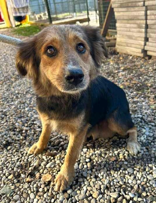 BeFunky collage 2026 02 04T190153.958