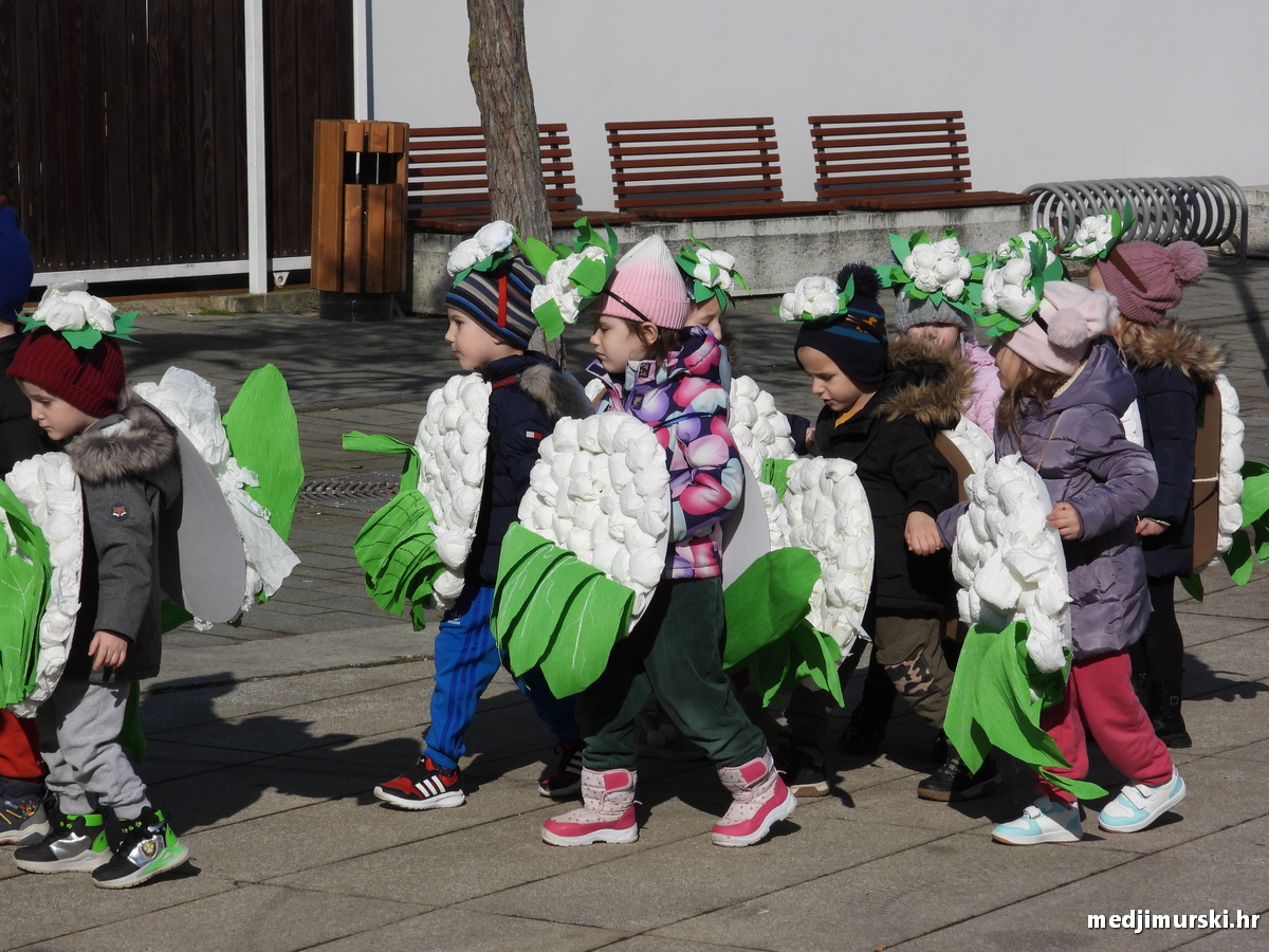 DV Fijolica Prelog (56)
