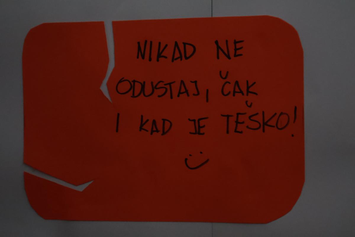 IMG 3415.jfif