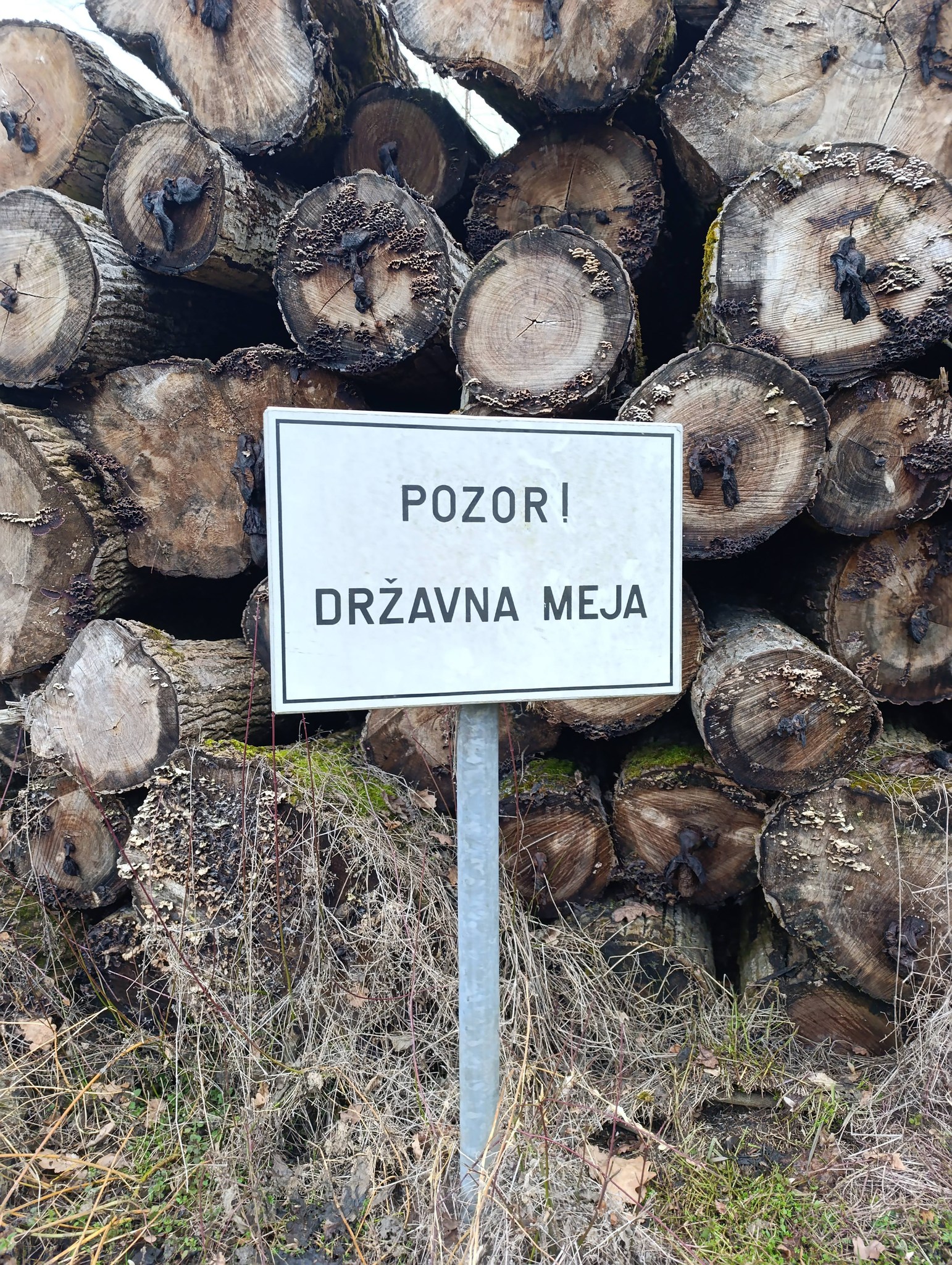 MEJA