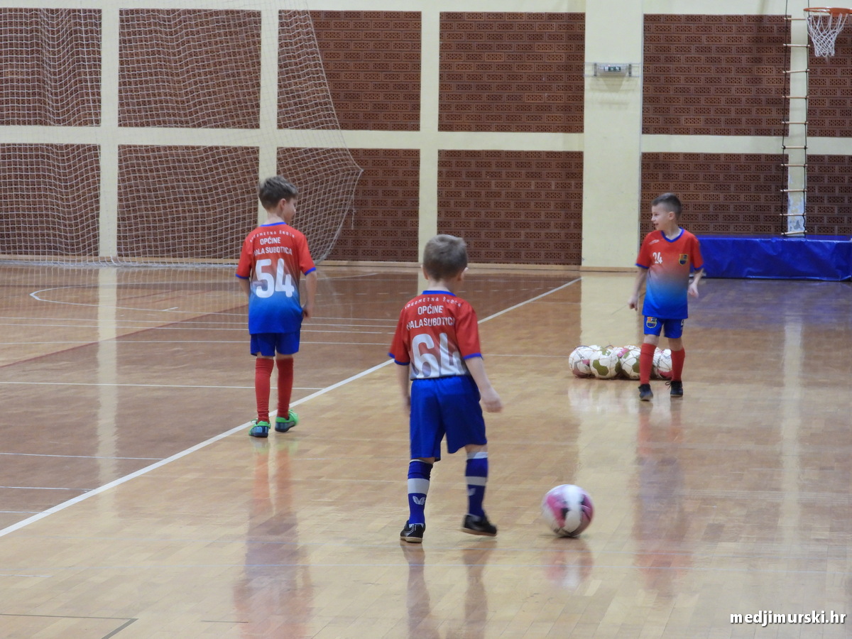 NŠ Općine Mala Subotica (4)