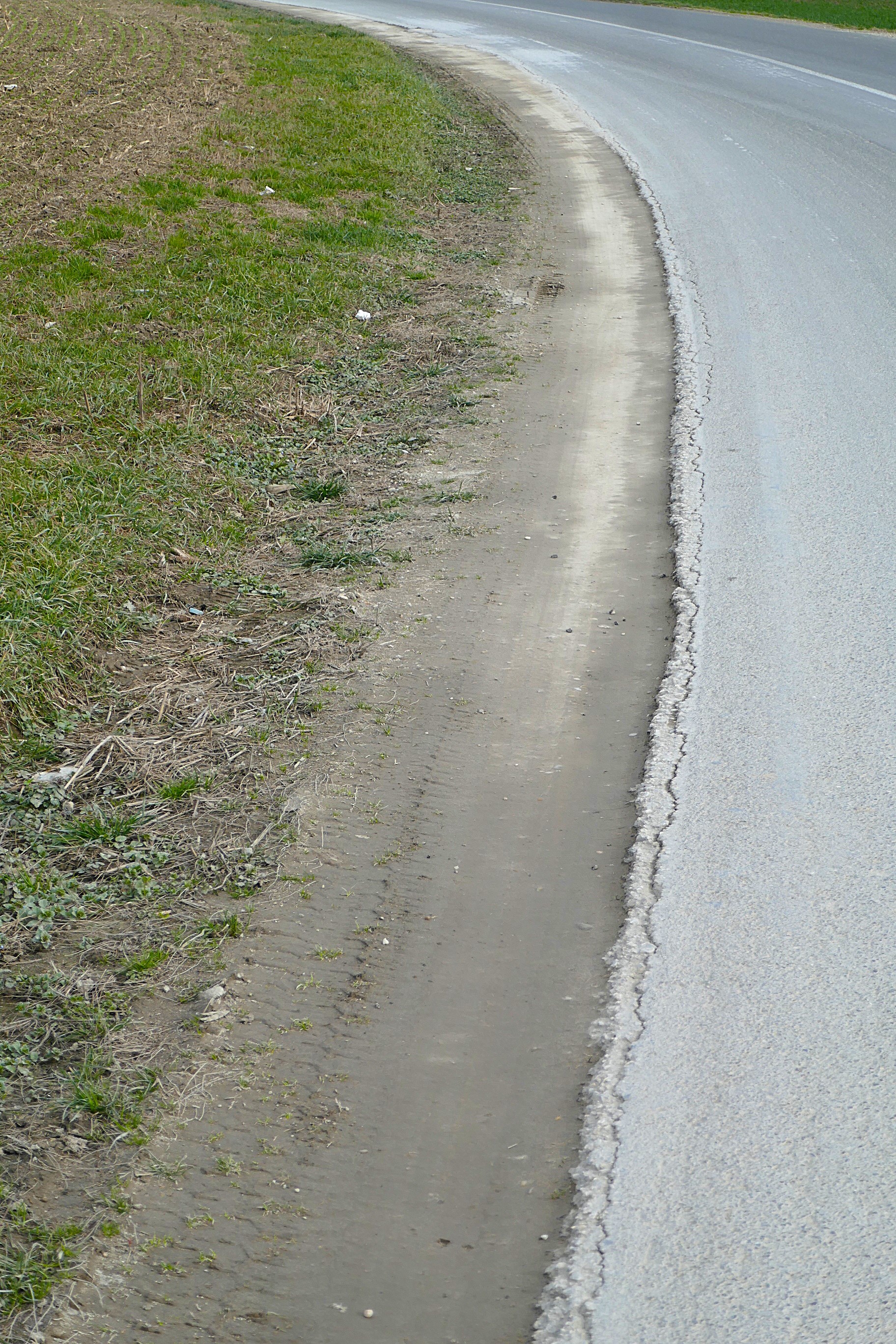 P1200883