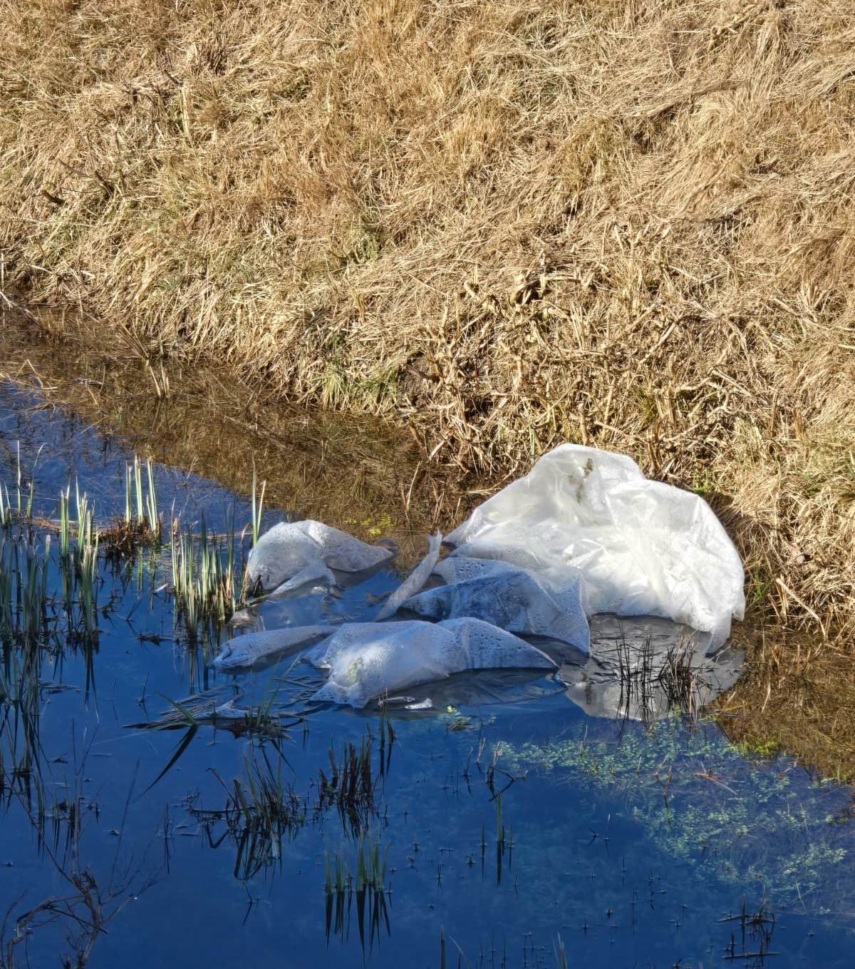 Plastične vreće u vodi (3)