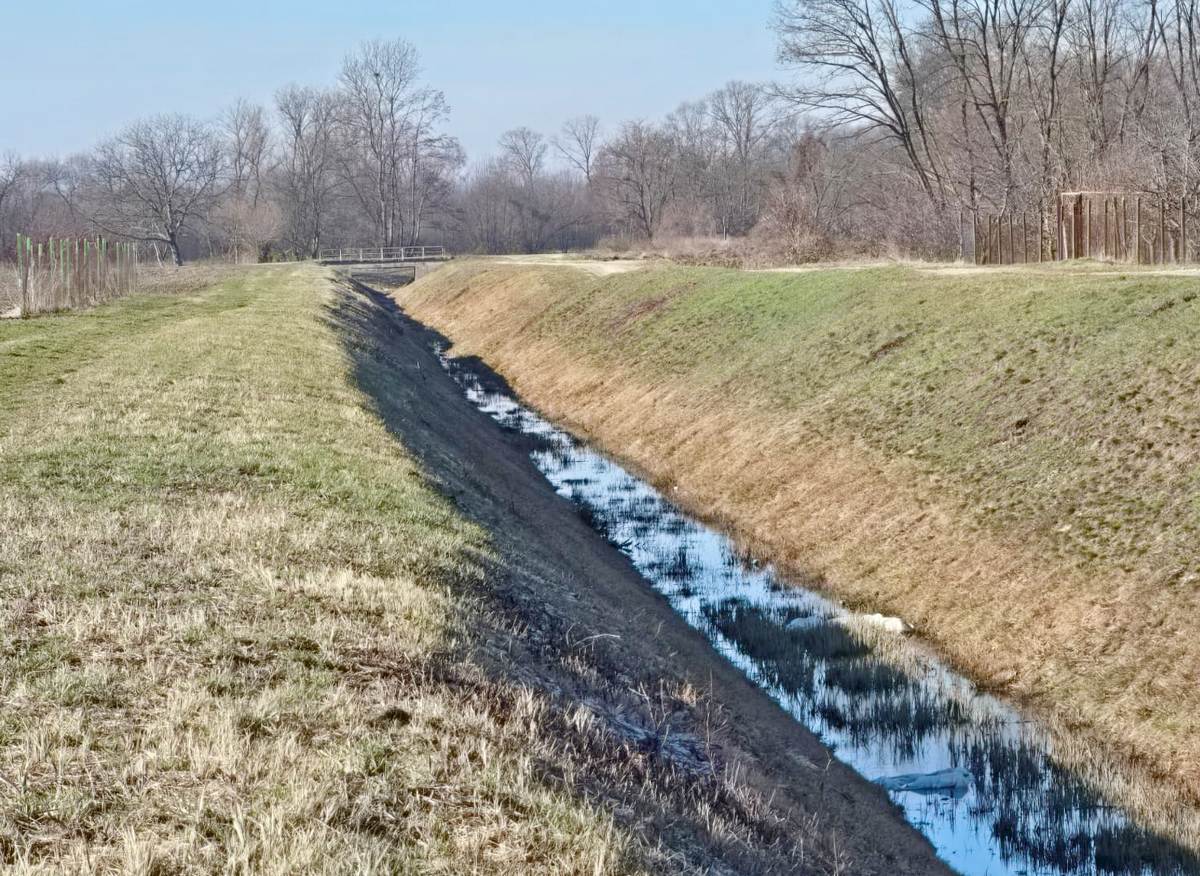 Plastične vreće u vodi (4)