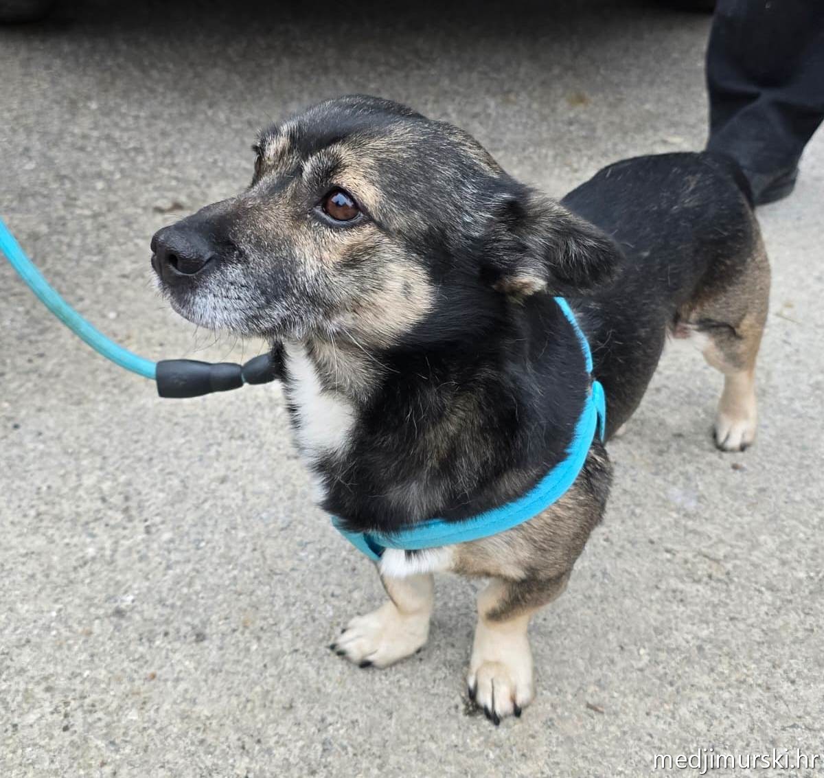 Štrigovska kružna staza2026 (40)