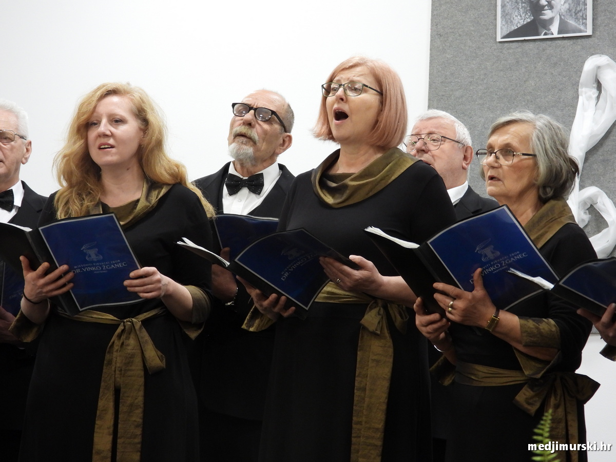 Vincekova zipka (25)