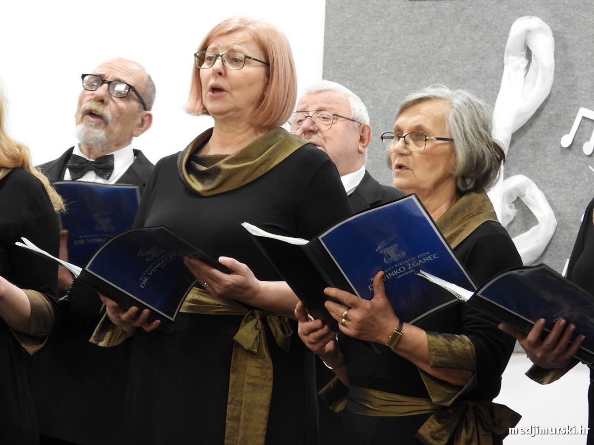 Vincekova zipka (27)