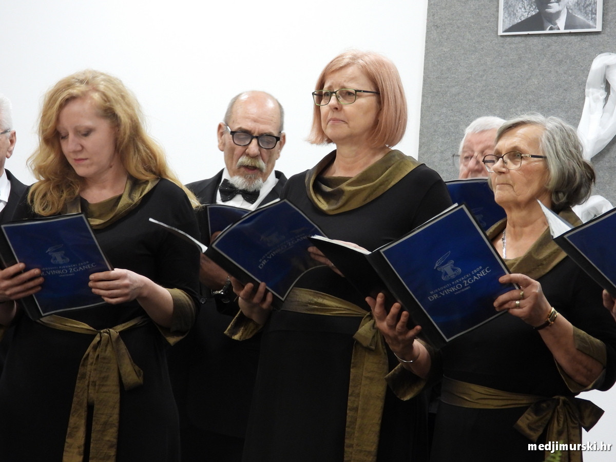 Vincekova zipka (28)