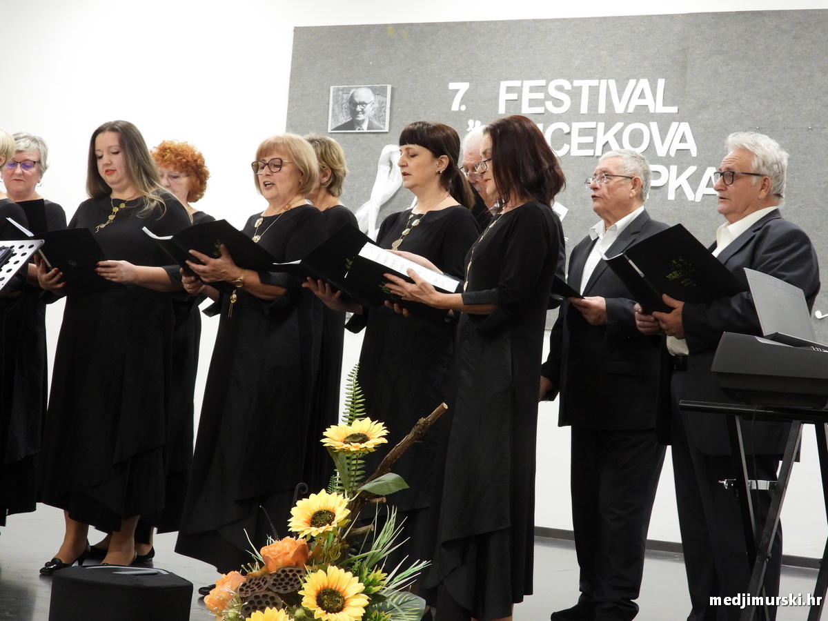 Vincekova zipka (33)